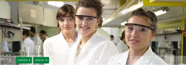 1578193832122881.png image.png